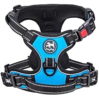 Imbracatura per gatti, riflettente, nylon