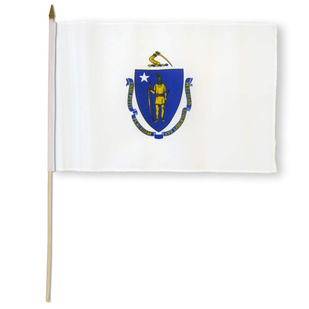 Flags Importer STI-Massachusetts Dozen 12x18 inches Stick Flags, Multi