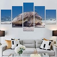 SIGNWIN 5 Panel Canvas Wall Art Modern Art Multicolor Nautical Photography Relax/Calm Reptiles Turtle for Home Decorations Ready to Hang - 60