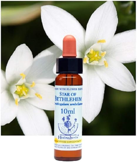 Amazon Co Jp Neal S Yard Remedies ニールズヤードレメディーズ ヒーリングハーブス フラワーエッセンス スターオブベツレヘム 10ml ドラッグストア