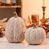 AOMOONOA Artificial Pumpkin Decor, Brown and White Decorative Pumpkins
