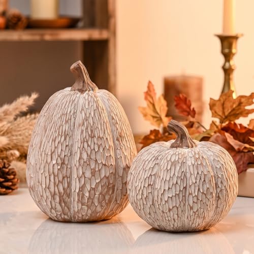 AOMOONOA Artificial Pumpkin Decor, Brown and White Decorative Pumpkins