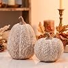 AOMOONOA Artificial Pumpkin Decor, Brown and White Decorative Pumpkins
