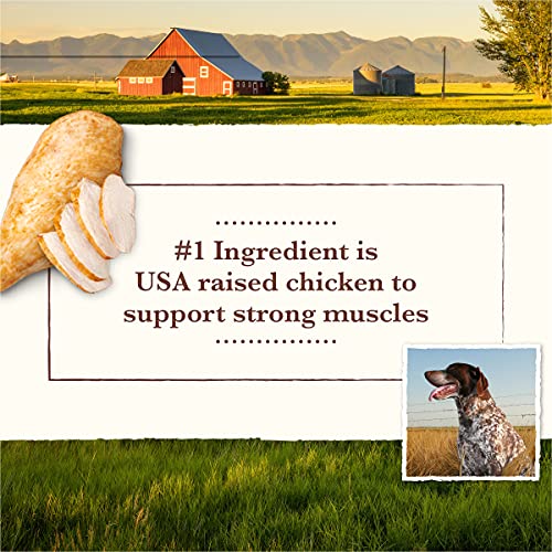Whole Earth Farms Grain Free Chicken and Turkey Recipe Canned Dog Food - 12.7 oz Can