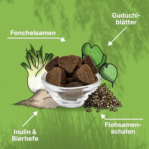 MEDIDOG Darm Aktiv Drops – 400 g – kaltgepresste Drops für alle Hunde – unterstützt bei Gras& Kotfressen, Durchfall und Erbrechen - mit Inulin, MOS, Fenchel, Flohsamenschalen