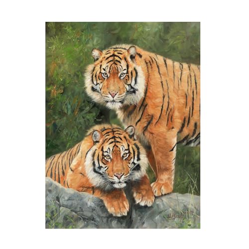 Trademark Fine Art Canvas Wall Art - David Stribbling 'Pair of Sumatran Tigers' Wall Art for Living Room, Bedroom, or Office Décor