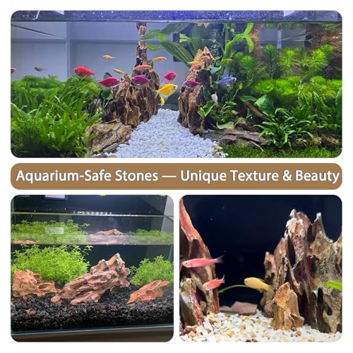 Image of Aquariums Stones Natural Rocks 3lb Aquarium Rock for Fish Tank Aquascaping,Aquariums,Terrariums,Vivariums,Decorative Stone,Reptile Enclosures,Paludariums,and Gardens-(2-5 Inch)