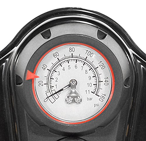 Capstone Aluminum Pump W/Gauge