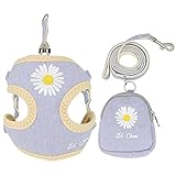 wonfar Yellow Daisy Dog Harness and Leash Set Embroidery Breathable Adjustable Snack Bag Pet Harness for Small Medium Dog Cats Vest Dog Supplies (S, Blue)
