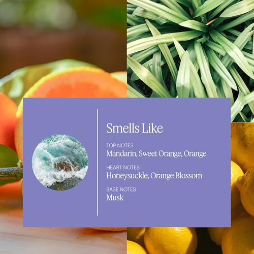 Aera Spa La La Home Fragrance Scent Refill - Notes of Peppermint and Rosemary - Works with The Aera Diffuser - Image 3