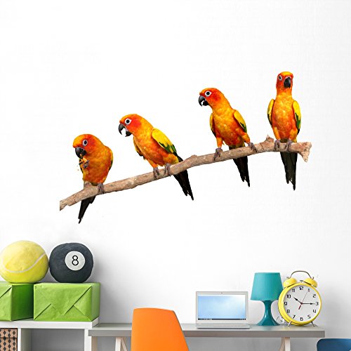 40% Off Discount Wallmonkeys Four Perched Parrots Wall Decal Peel and Stick Animal Graphics (60 in W x 47 in H) WM298516