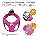 Curli Vest Harness Air-Mesh Dog Harness Pet Vest No-Pull Step-in Harness with Padded Fuchsia 2XS