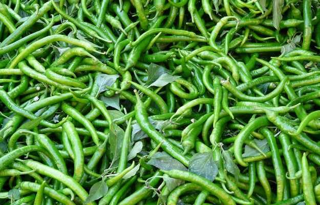 Marwar's Rajasthani Green Chilli Pickle 200g | Homemade Athana Mirch Aachar | Ghar Ka Achar | No Oil, No Preservatives | Spicy & Authentic Taste 1