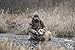 SportDOG Brand Plastic Dummies