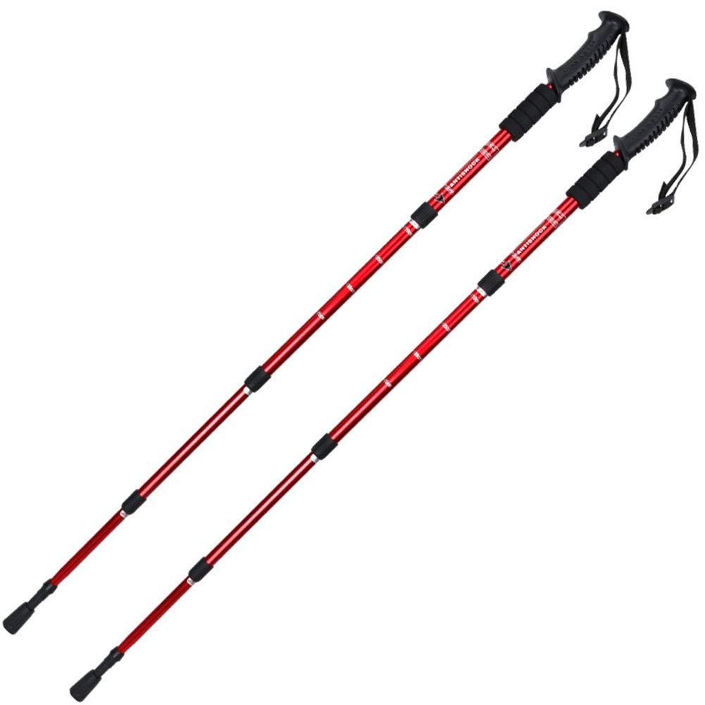 ? 5-sekcyjny zestaw kijków trekkingowych, lekki, składany, regulowany aluminiowy teleskopowy kijek narciarski z uchwytem Nordic Walking Sticks Para Trek Carry Bags for Women Men Seniors (dwi
