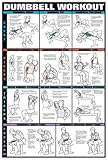 Dumbbell Workout Charts