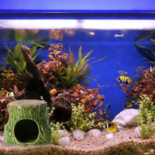 Image of Ceramic Aquarium Decor Natural Tree Green Betta Fish Tank Cave