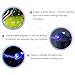 Liberty Imports Blue Dolphin LED Light Up Whale Battery Operated Bubble Gun Machine Blower for Kids - Includes 2 Bottles of Solution (NO Music)