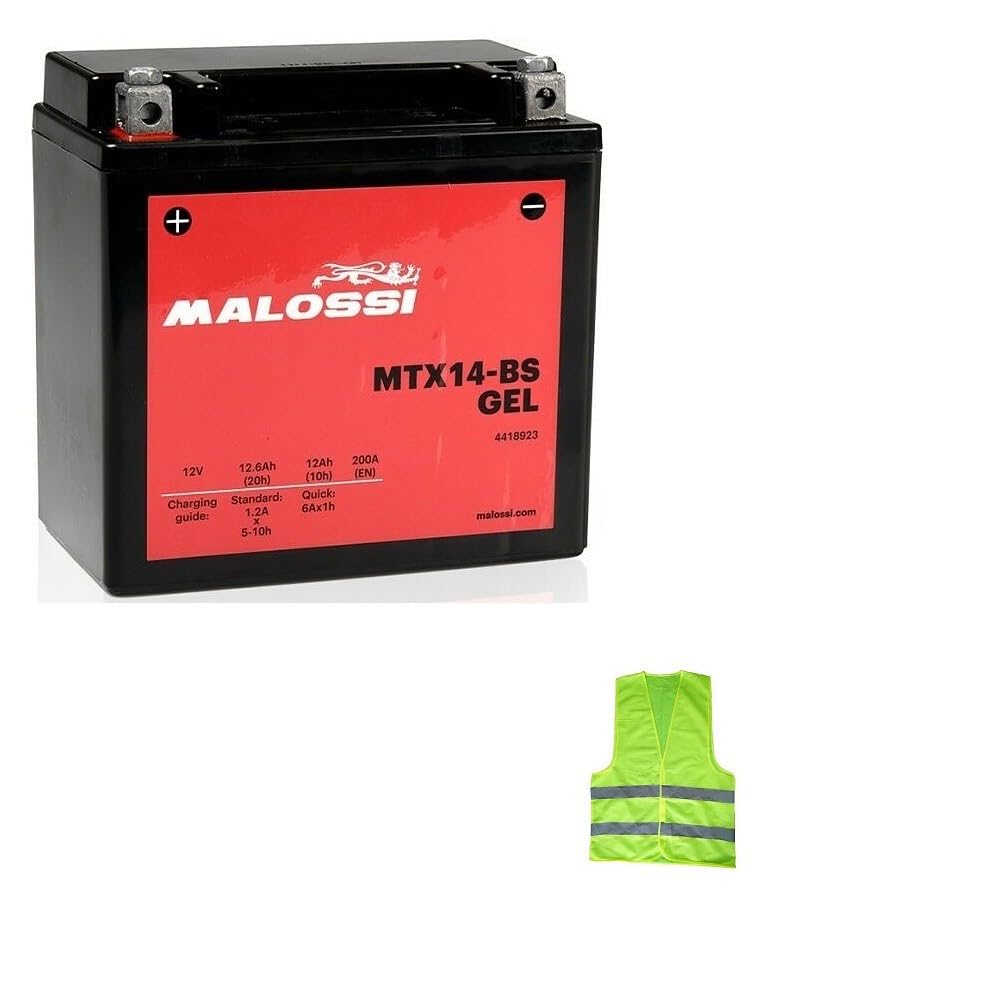astronaute Branche Fou batterie yuasa ytx14 bs prix moteur Catastrophique Martèl