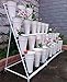 Flower Display Stand, 3 Layers Heavy Duty Moving Plant Cart Shelf With Wheels and Bucket, Wrought Iron Florist Shelf, for Patio Garden, Florist, Outdoor Flower Pop-Up Events (White Iron Frame)