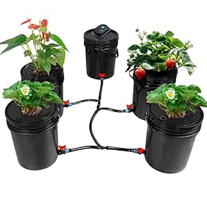 MAOPINER Deep Water Culture Hydroponic Bucket Kit with Air Pump, Airstone DWC Hydroponic System Indoor 5.28 Gallon