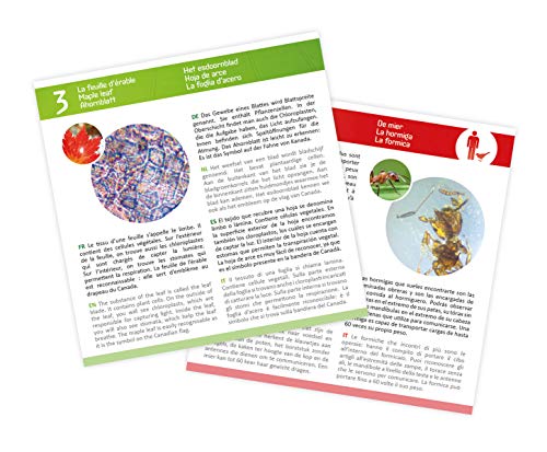 Science Lames Pour Microscope - vue 7