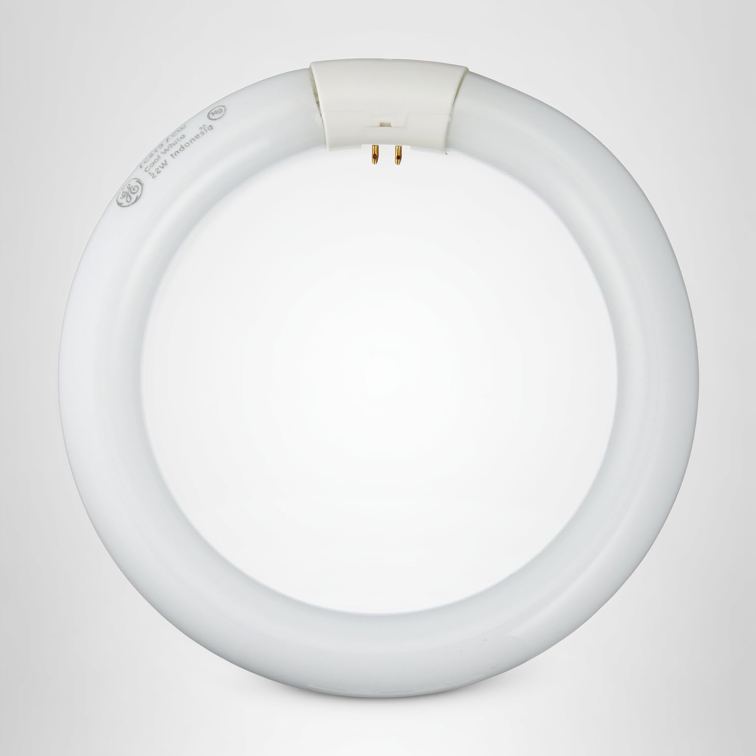 Sylvania 00450 - FC8T9/CW - 22 Watt T9 Circular Light Bulb, Cool