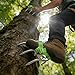 CJFNDFA Tree Climbing Spikes - Anti-Slip Cat Claw Shoes Set for Outdoor Climbing, Coconut Picking & Hunting Observation, Professional Grade Arborist Gear (Easy Strap-On)