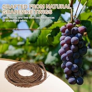 6pcsgrapevinegarlanddiycraftsnaturalgrapevinetwigvines15feetvinesgarlandwreathsforweddingchristmashouseholidaydoorvasewalldecor Urban Country Home Decor 6 pcs grapevine garland diy crafts natural grapevine twig vines 15 feet vines garland wreaths for wedding christmas house holiday door vase wall decor urban country home decor