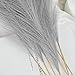 U-LIAN 36PCS Grey Faux Pampas Grass 21.7 Inch, Small Artificial Pampas Grass Decor for Vase, Fake Fluffy Floral, Artificial Dried Flowers, Dry Plant Home Wedding Boho Decor