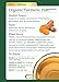 Traditional Medicinals Organic Turmeric with Meadowsweet & Ginger Herbal Tea, Supports Healthy Response to Inflammation, (Pack of 3) - 48 Tea Bags Total