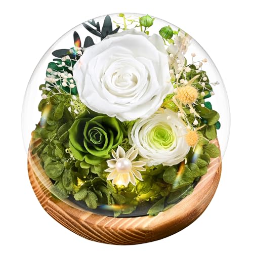 Touloube Rosa Preservada Regalos del Día de la Madre para Mujeres, Rosa Eterna Real con Luces LED, Ramo de Flores Reales en Cúpula de Cristal, Regalos para Mamá, Novia, Esposa, Cumpleaños