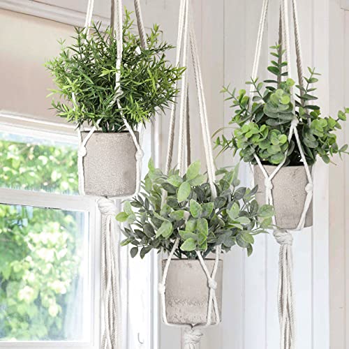 Mini plantes artificielles de qualité supérieure avec macramé mural - 8