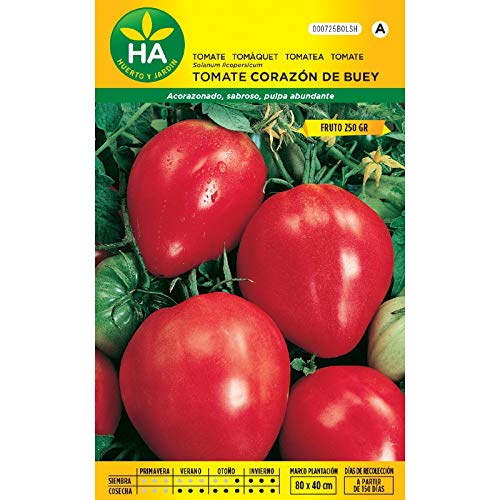 Semillas Batlle - Semillas tomate corazon de buey