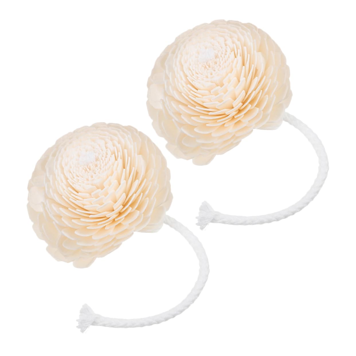 Diffuseur de fleurs parfumées pour huiles essentielles avec tige végétale beige x2