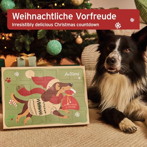 AniForte Adventskalender für Hunde 2025 - Natürliche Hundesnacks getreidefrei, Leckerli ohne Farb- & Konservierungsstoffe, Weihnachtskalender mit Zellstoff-Einlage