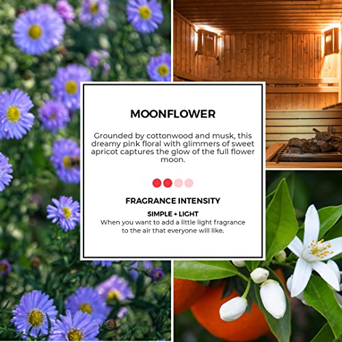 Partylite Tealight Candles, Fragranced Colored Wax With Clear Container thumb #3