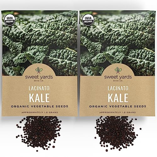 Organic Lacinato Kale Seeds - 2 Seed Packets! - Over 500 Open Pollinated Heirloom Non-Gmo Usda Organic Seeds #TOP4