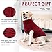 CITÉTOILE Hundepullover – Warme, Ärmellose Strickjacke mit Rollkragen für Kleine & Mittelgroße Hunde | Weiches Fleece, Bequem & Atmungsaktiv | Ideal bei Kälte | Rot, M