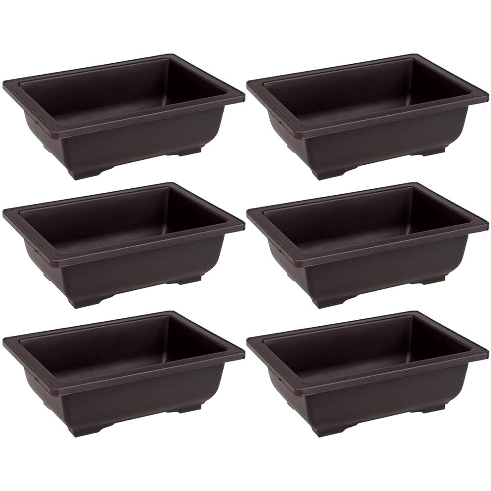 Pots de culture pour bonsaï lot de 6 contenants en plastique jardin