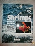  Shrimps, Hummer und Langusten