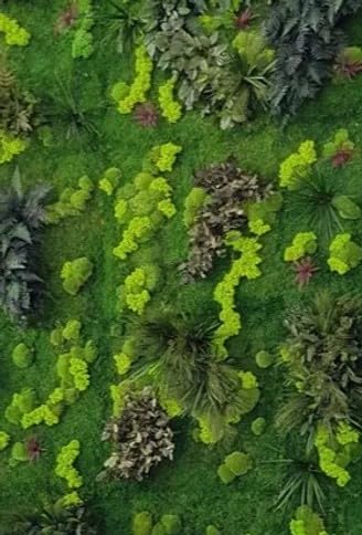 kit mur végétal stabilisé coloré - plantes et décoration murale d'intérieur végétal sans entretiens, plantes et fleurs éternel made in france,...