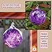 Totally Blown Glassworks Ornament, Handmade Blown Glass, Hanging Tree Holiday Décor, Sun Catcher, Witches Ball, Gazing Orb, Friendship Keepsake, Window Color. (Purple)