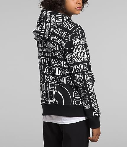 THE NORTH FACE Boys' Camp Fleece Pullover Hoodie, TNF Black TNF Marker Logo Print, X-Small2