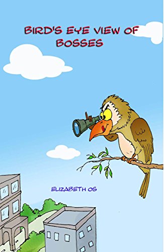 Télécharger Bird's Eye View of Bosses (English Edition) Gratuit