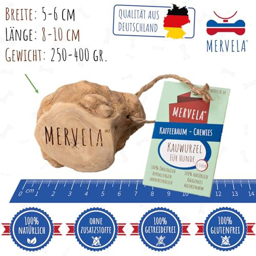 MERVELA® Kauwurzel für mittelere Hunde – Natürliches Kauspielzeug – Zahnpflege & Langlebig – Ideal für Starke Kauer – natürliche Beschäftigung (Kauwurzel Medium 1 Stück)