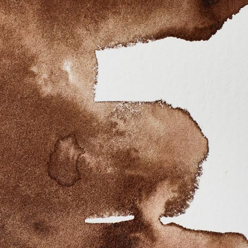 Image of Winsor & Newton Professional Water Color with Half Pan, Vandyke Brown