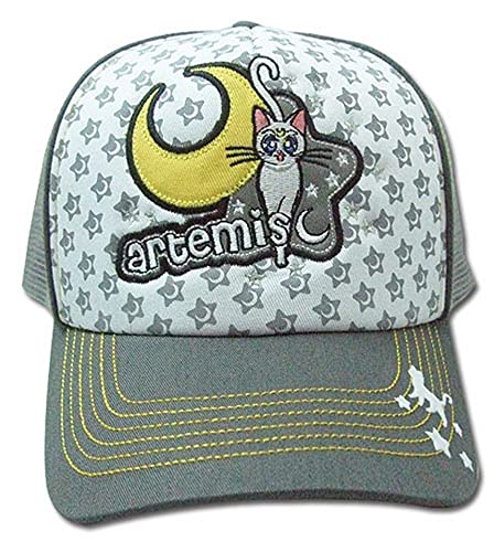 Great Eastern Entertainment boys Trucker baseball caps, Multicolor, One Size US