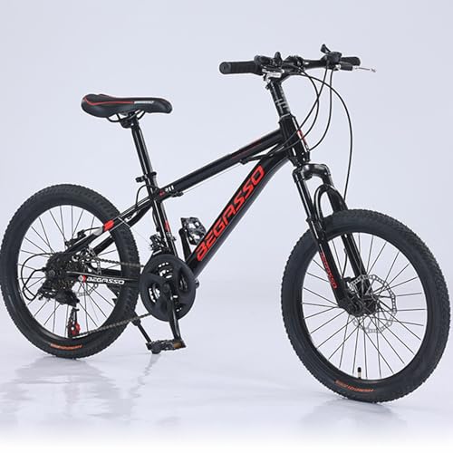 Wmmner Bicicleta de Montaña de 22 Pulgadas para Niños, Bicicleta de Acero de Alto Carbono para Exteriores con Amortiguación Y Frenos de Disco/D/20 Pulgadas