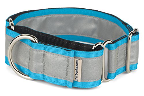 If It Barks - 1.5" Reflective Martingale Collar For Dogs - Adjustable - Made In Usa - Strong, Durable, And Comfy - Ideal For Training - Suitable For Most Breeds - Medium, Turquoise #TOP1